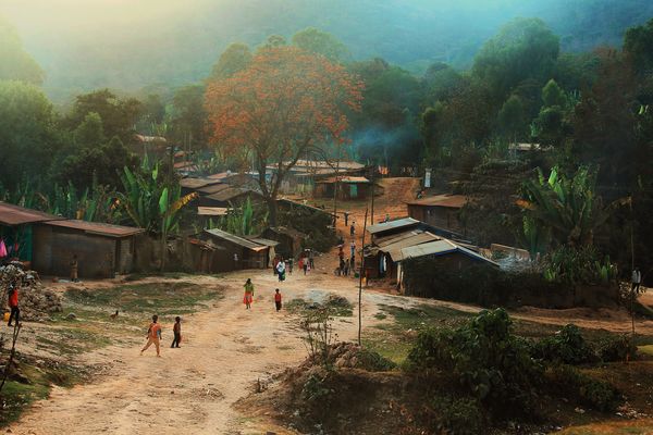 예가체프 커피농장 ☕️