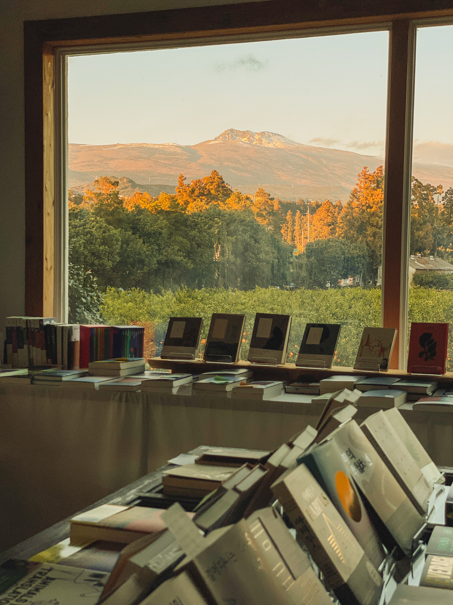 제주 귤밭에
숨어있는
작은 서점