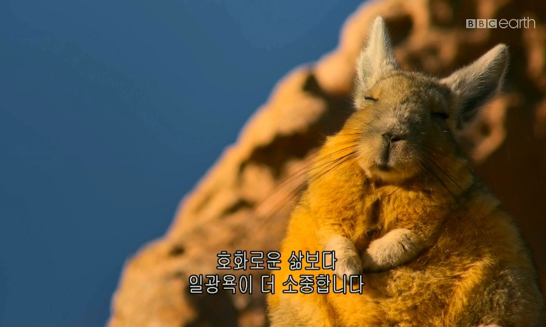 게으르지만 책은 읽고 싶엉🥱 모임 대표 이미지