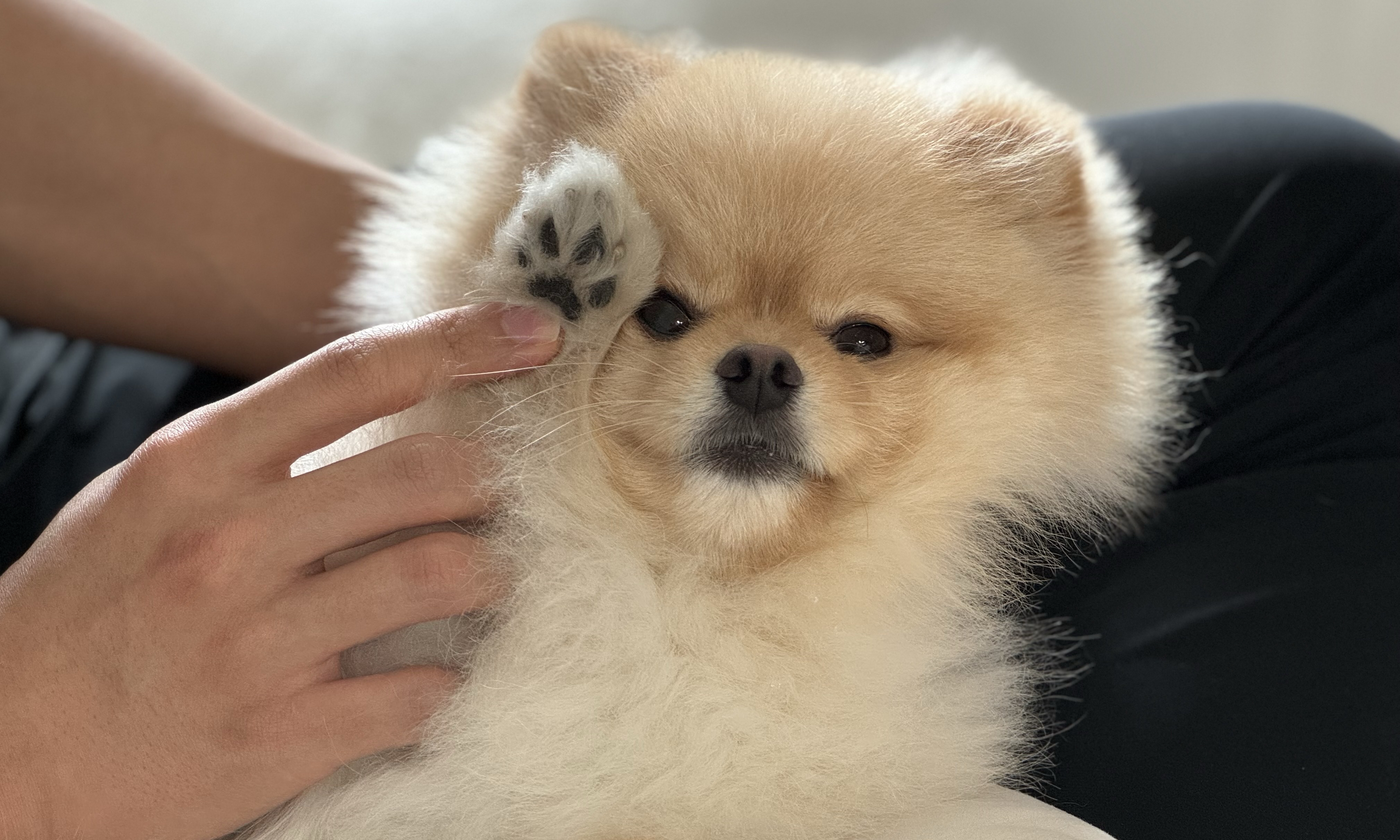 주말 독서 챌린지 모임 대표 이미지