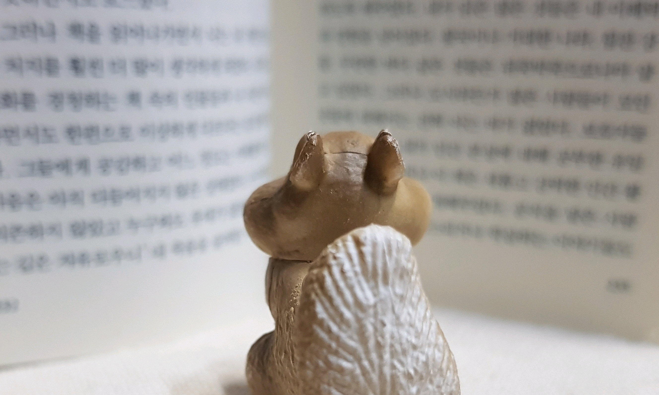 📚야금야금 독서단📚 모임 대표 이미지