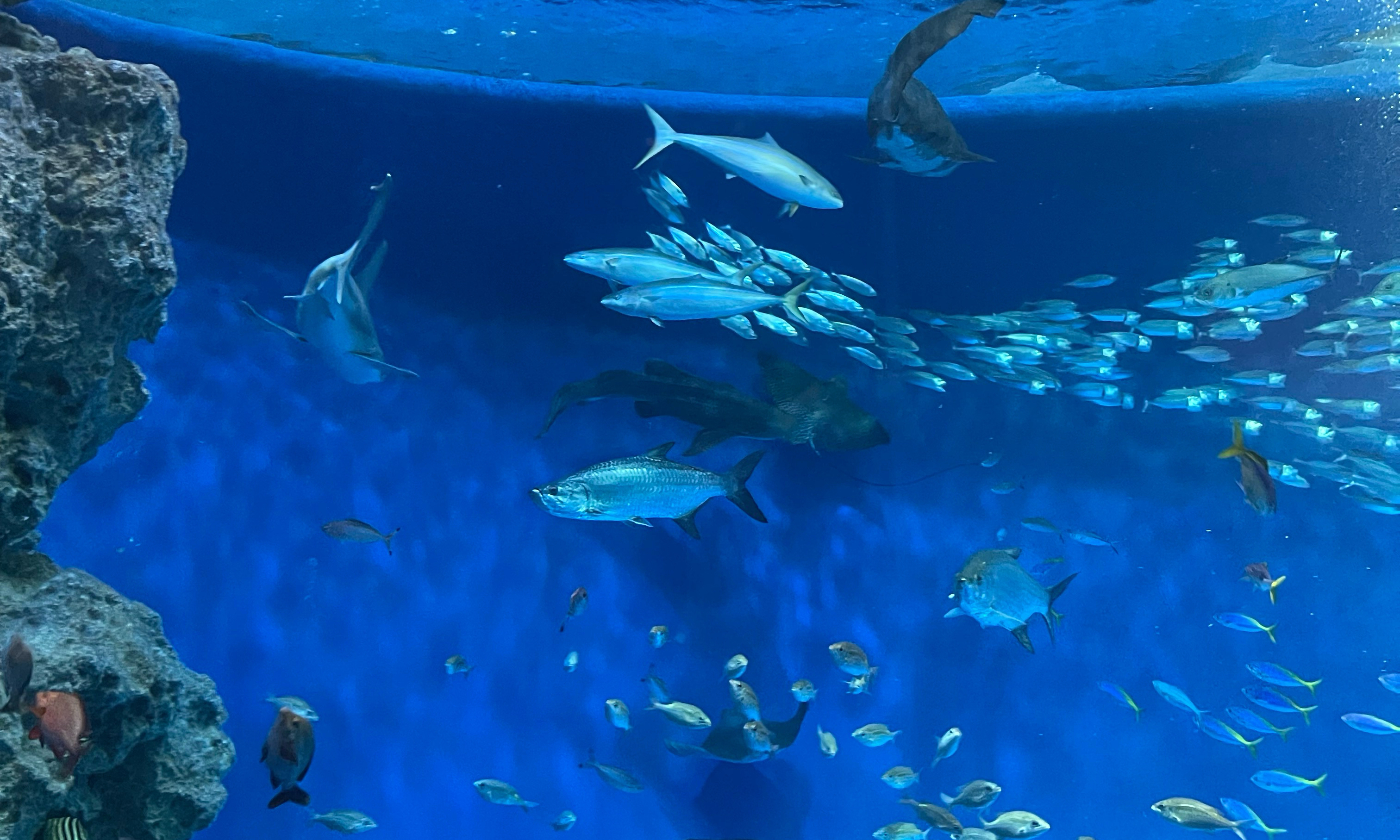 하루 한번 책읽기 모임 대표 이미지