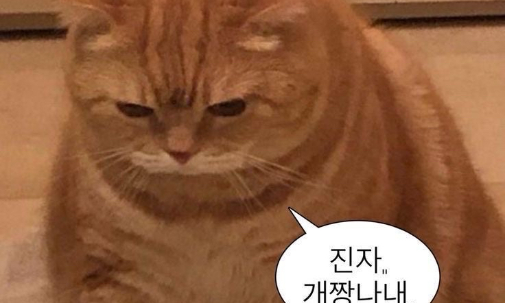 갠단톡(미지누나) 모임 대표 이미지