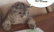 개인톡(심도) 모임 대표 이미지