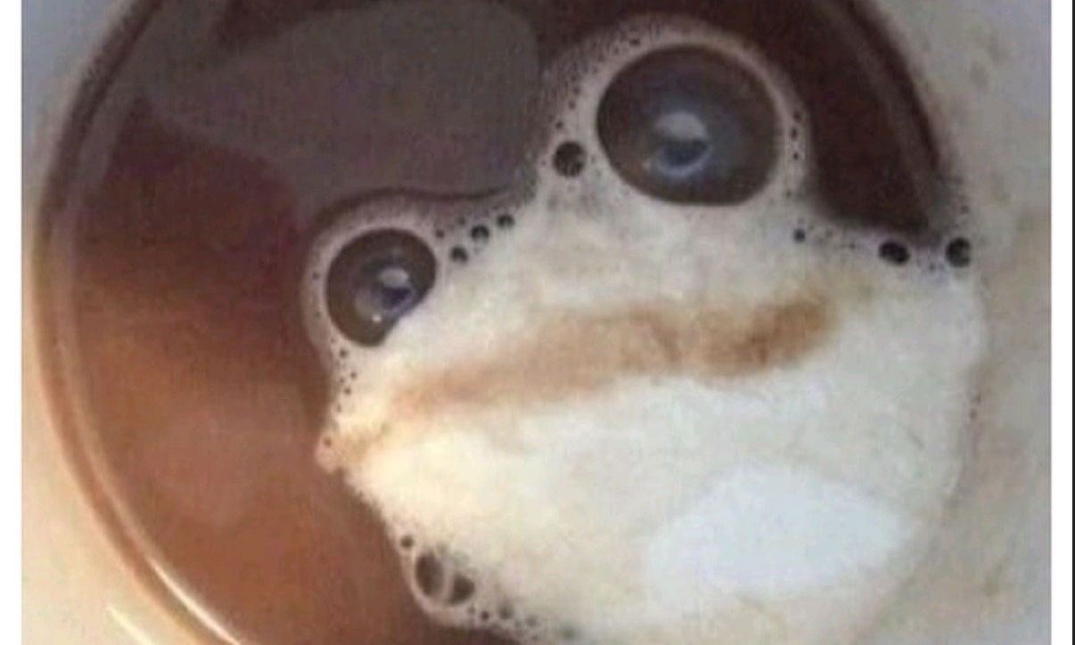 SELECT * FROM X; 모임 대표 이미지