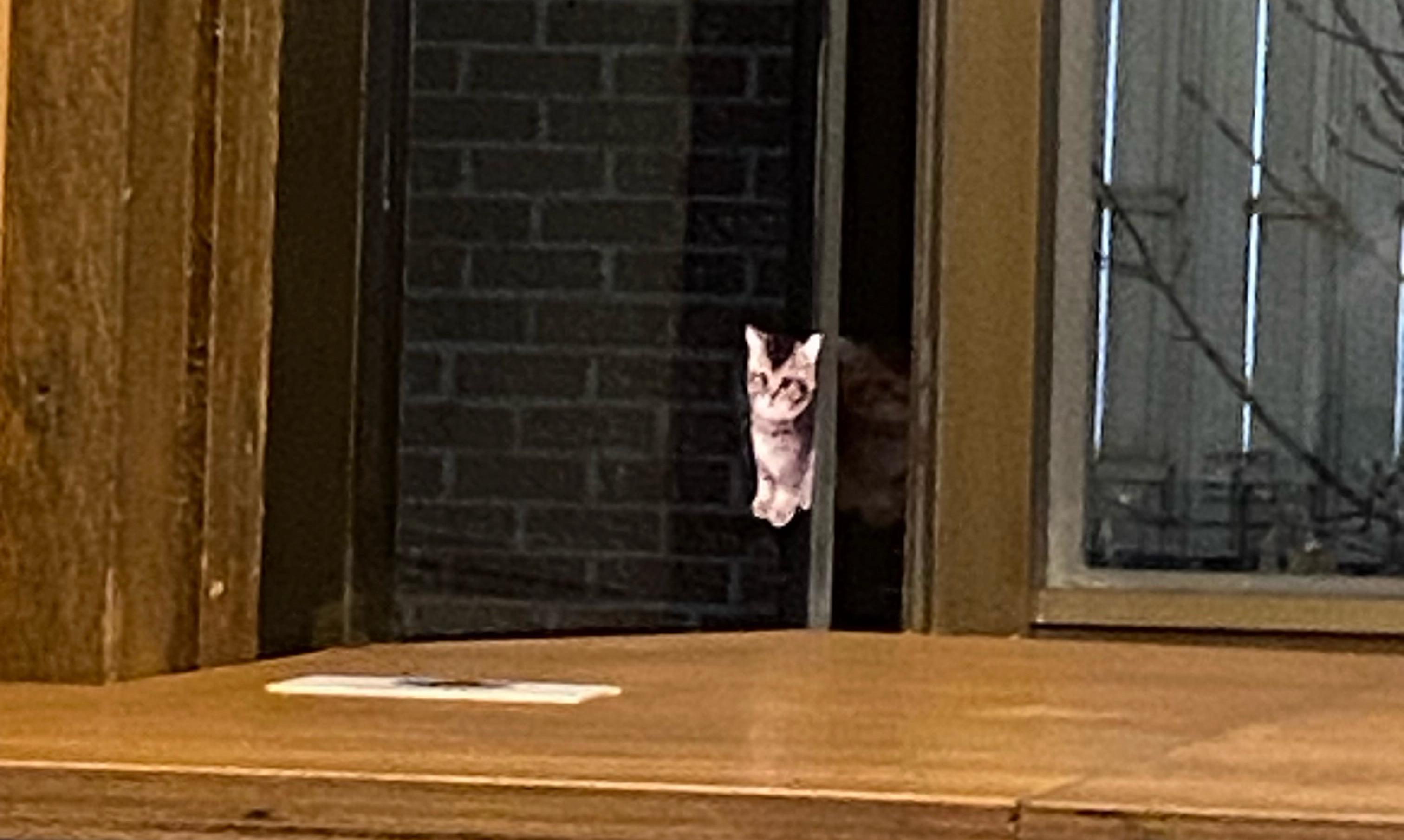 Bookbook 모임 대표 이미지