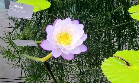 ㅎㅅㅈㅅ 모임 대표 이미지