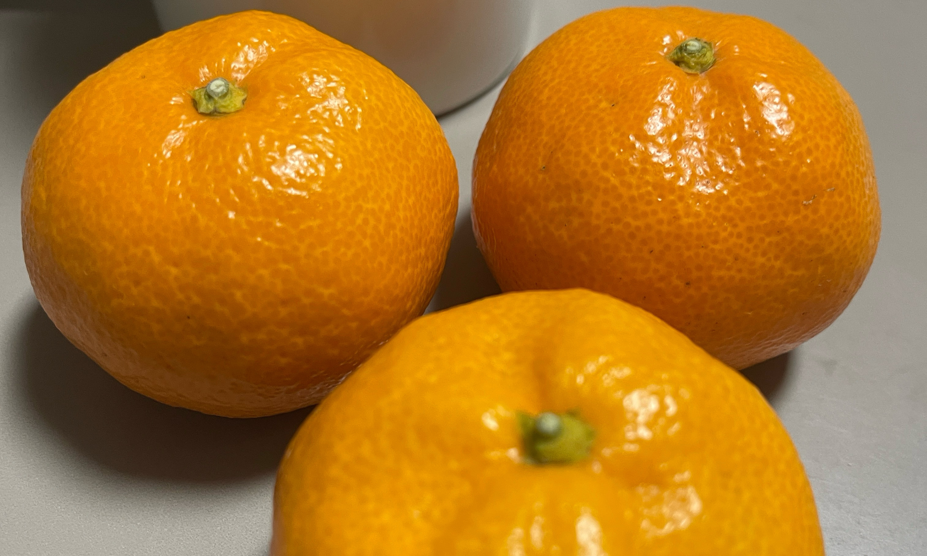 광부들의 모임 모임 대표 이미지