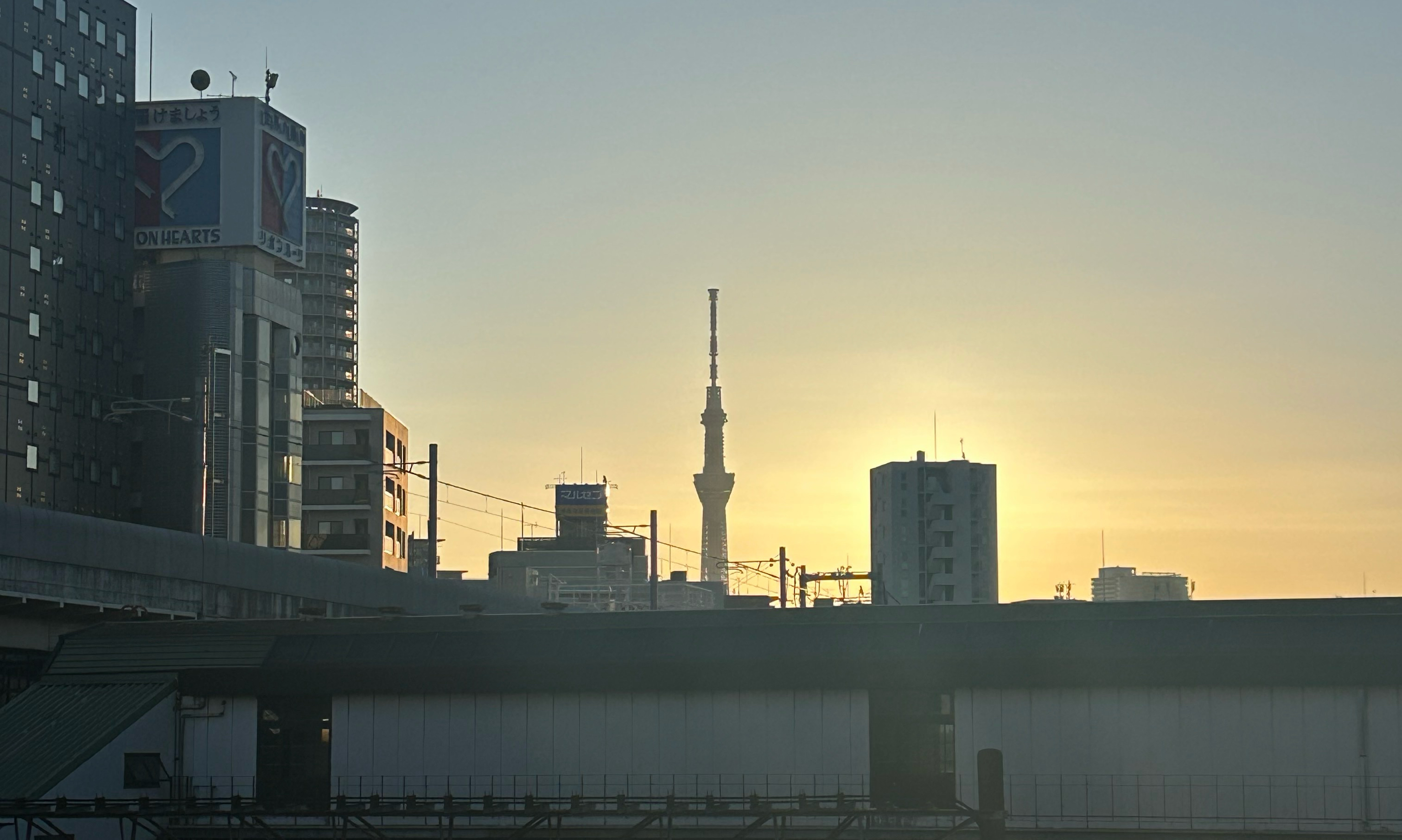 임시 모임 대표 이미지