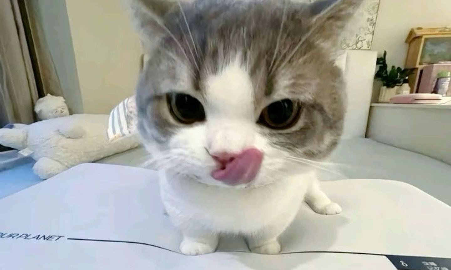 코미단톡 모임 대표 이미지