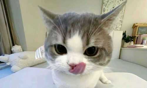 개인단톡(지원) 모임 대표 이미지