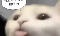 개인단톡(지원) 모임 대표 이미지