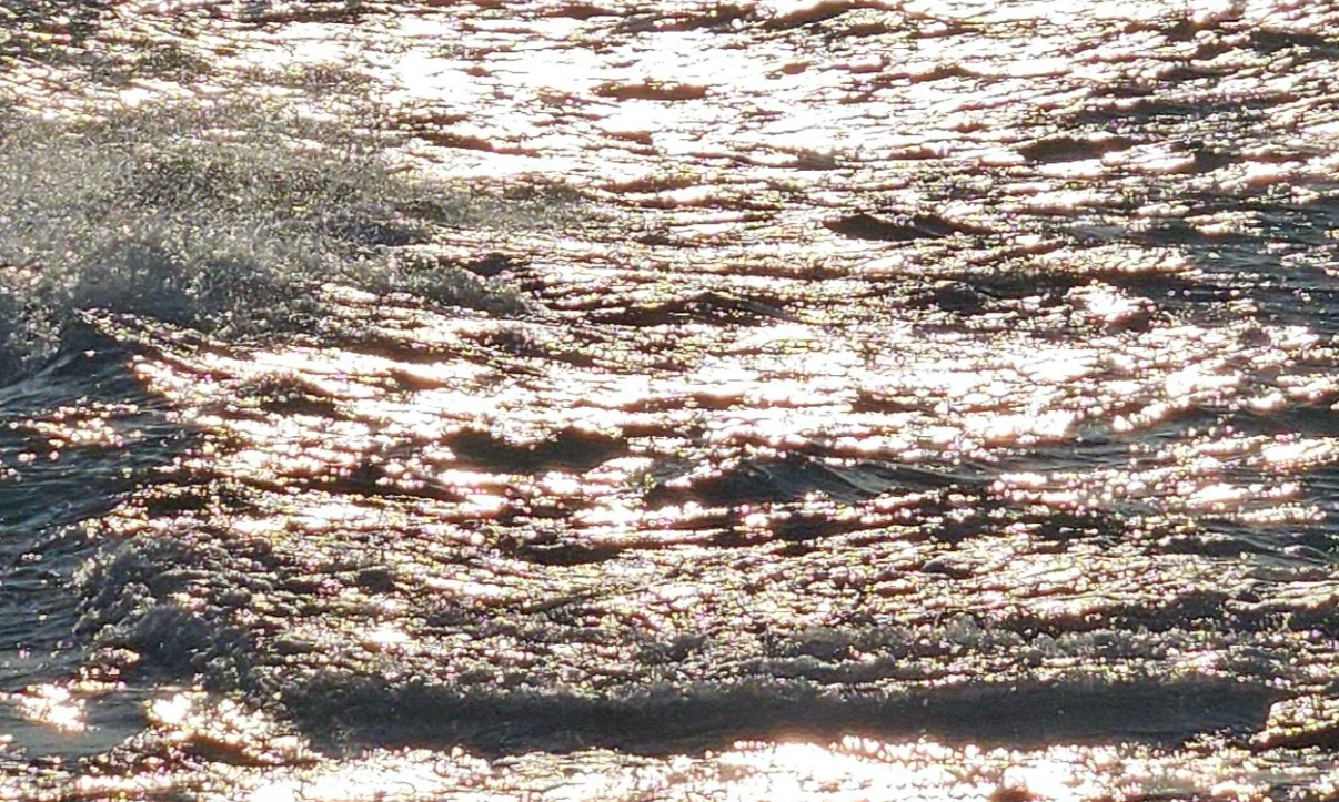 티끌모아태산 모임 대표 이미지