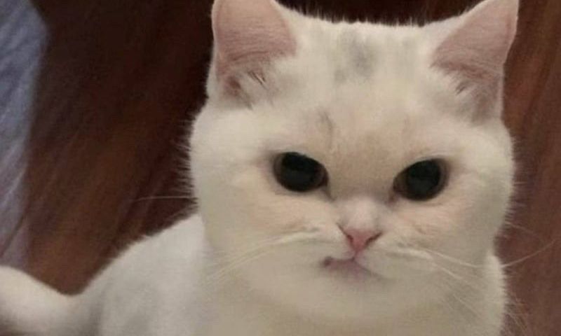 먉 모임 대표 이미지