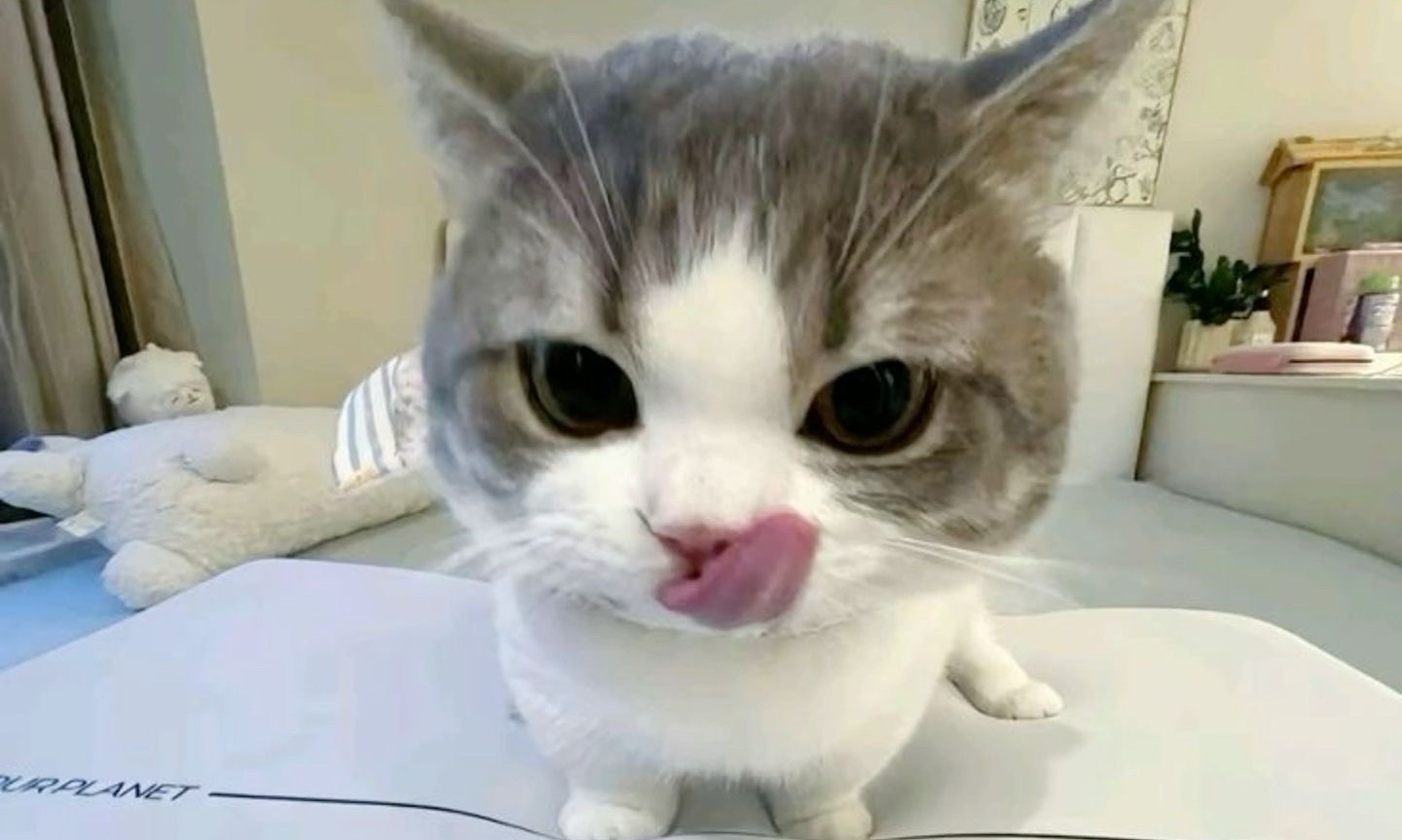 코미의 대화 모임 대표 이미지