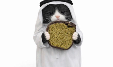 코미의 대화 모임 대표 이미지