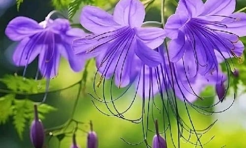 고전 산책, 우리네 인생 책방