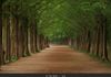 김경순