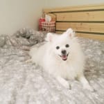 aram