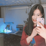 세라