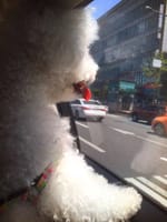 희원