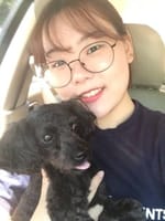 지영