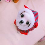 Baby-G