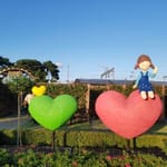♡뽀시깅♡