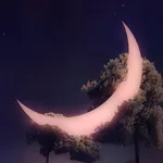 달🌙