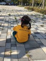 조상호