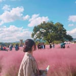정민지