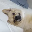 공백