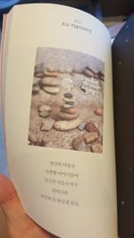 김애림