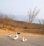 제현주