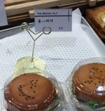 지수연
