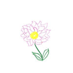 보자기