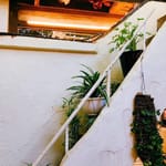 박세령