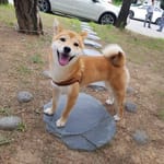 서명빈