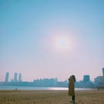 포키포키