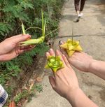 박미나 (mina park)