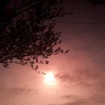 좋은책 찾는 사람