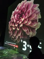 이카루스의 날개