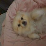 권구현