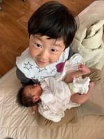 안진호
