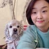 국화