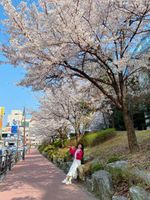 I'm flute performing