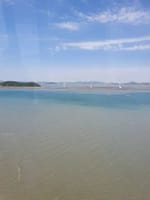 박근장