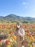 지니