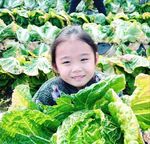 정은선(하늬네)