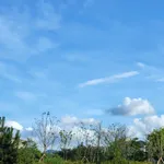 ㅂㅏㄹㅏㅁ :▷